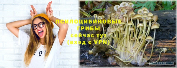 тгк Лихославль
