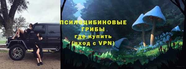тгк Лиски